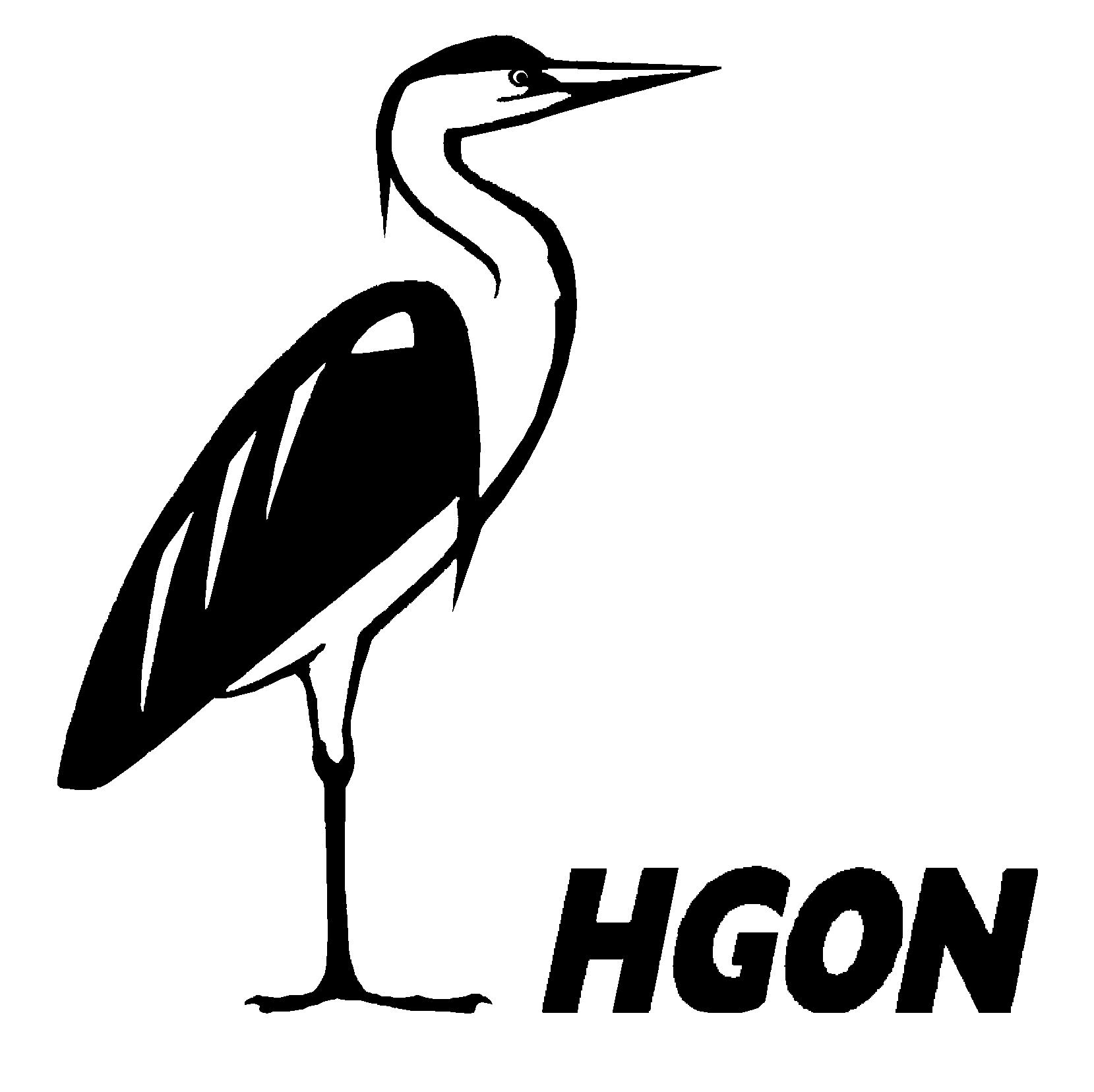 Logo HGON