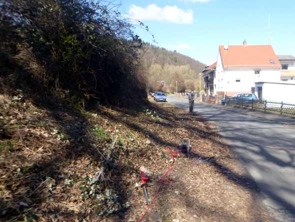 Beim Heckenschnitt entlang der Strae (D. Diehl)