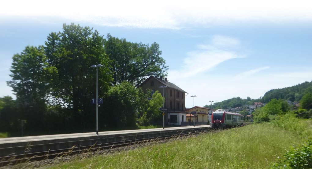 Mausohr-Bahnhof Herimat vieleer Arten (D. Diehl)