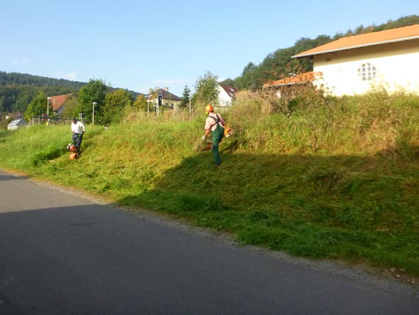Freimhen der Baustelle (S. Diehl)