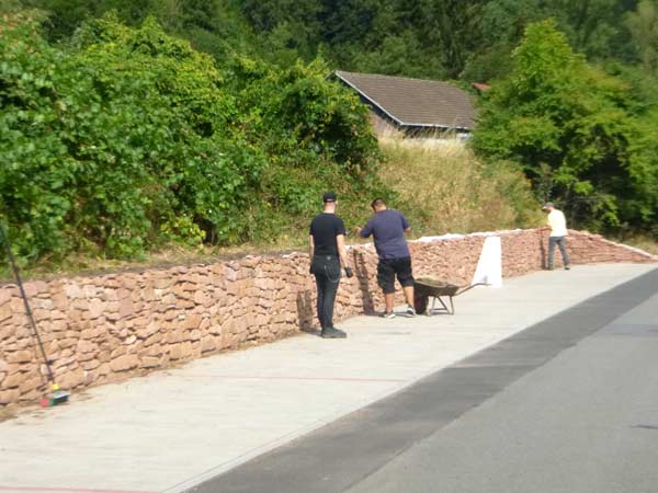 Abdeckung fr die Mauer (D. Diehl)