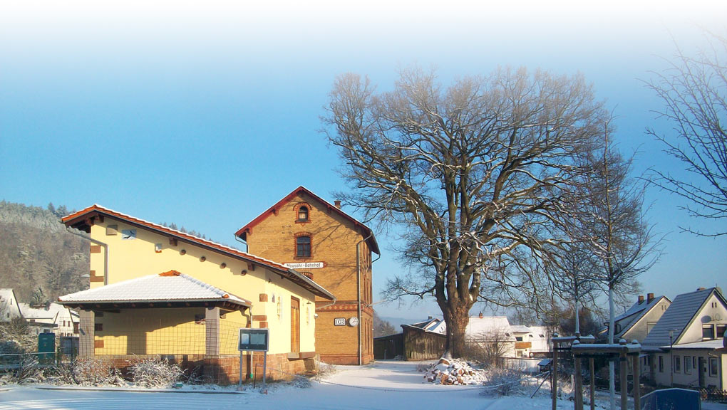 Mausohr-Bahnhof im Schnee, Jan. 2024 (D. Diehl)