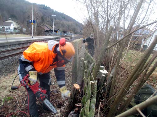 Rckschnitt an der Bahnseite. D. Diehl
