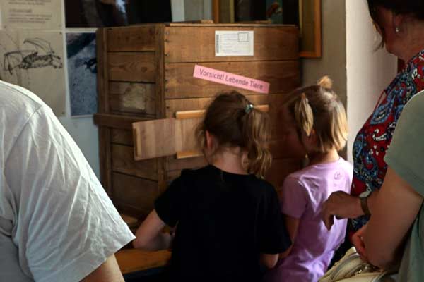 Ausstellung mit Versandkiste. S. Diehl