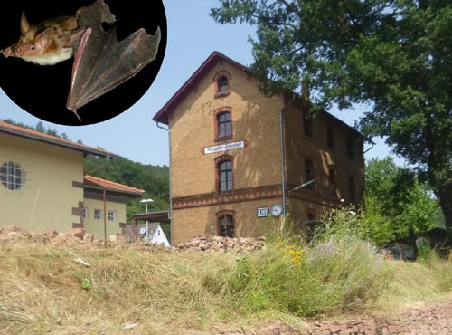 Projektbild Betterplace. D. Diehl